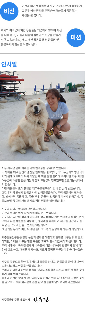 800px 이미지