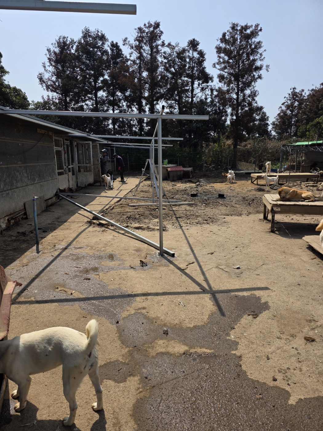 069a9b9f9dd75f4344ddcb479b4c8b0e_1774958189_8657.jpg 069a9b9f9dd75f4344ddcb479b4c8b0e_1774958189_8657.jpg