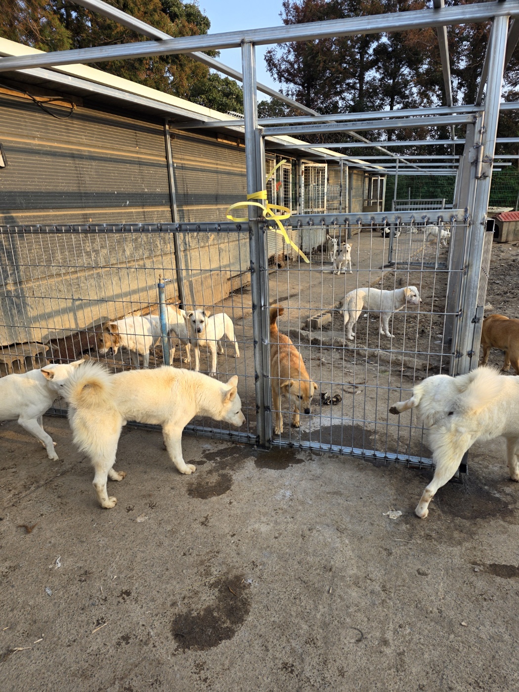 069a9b9f9dd75f4344ddcb479b4c8b0e_1774958190_4668.jpg 069a9b9f9dd75f4344ddcb479b4c8b0e_1774958190_4668.jpg