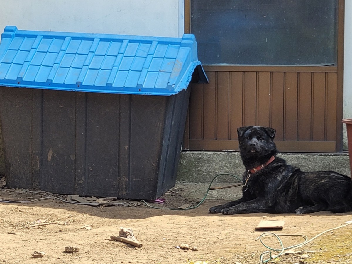 4b7520fc432ec9b65b519334d07c366d_1774766035_9861.jpg 4b7520fc432ec9b65b519334d07c366d_1774766035_9861.jpg