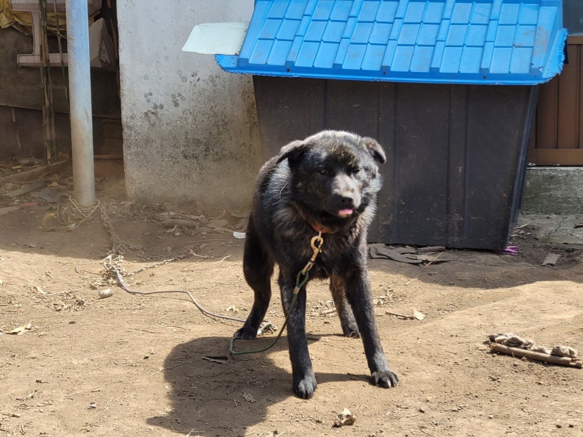 4b7520fc432ec9b65b519334d07c366d_1774766036_0997.jpg 4b7520fc432ec9b65b519334d07c366d_1774766036_0997.jpg