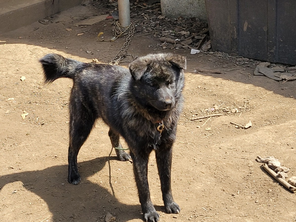 4b7520fc432ec9b65b519334d07c366d_1774766036_2117.jpg 4b7520fc432ec9b65b519334d07c366d_1774766036_2117.jpg