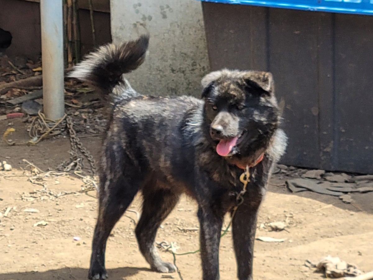 4b7520fc432ec9b65b519334d07c366d_1774766036_3009.jpg 4b7520fc432ec9b65b519334d07c366d_1774766036_3009.jpg