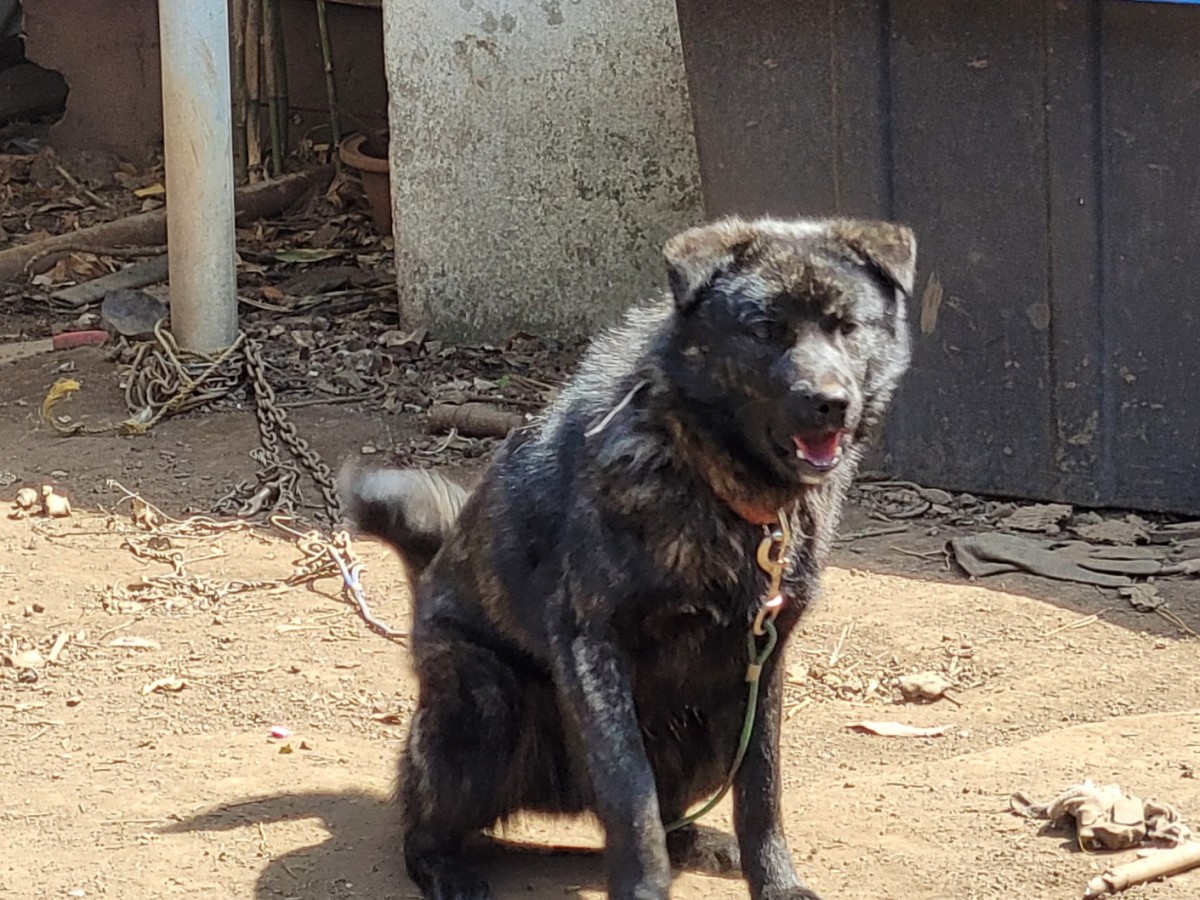 4b7520fc432ec9b65b519334d07c366d_1774766036_4139.jpg 4b7520fc432ec9b65b519334d07c366d_1774766036_4139.jpg