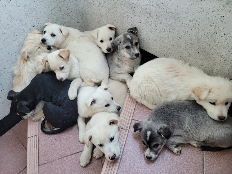 a77adcb6bc7c2868672a1096e19d9535_1773575604_9011.jpg a77adcb6bc7c2868672a1096e19d9535_1773575604_9011.jpg