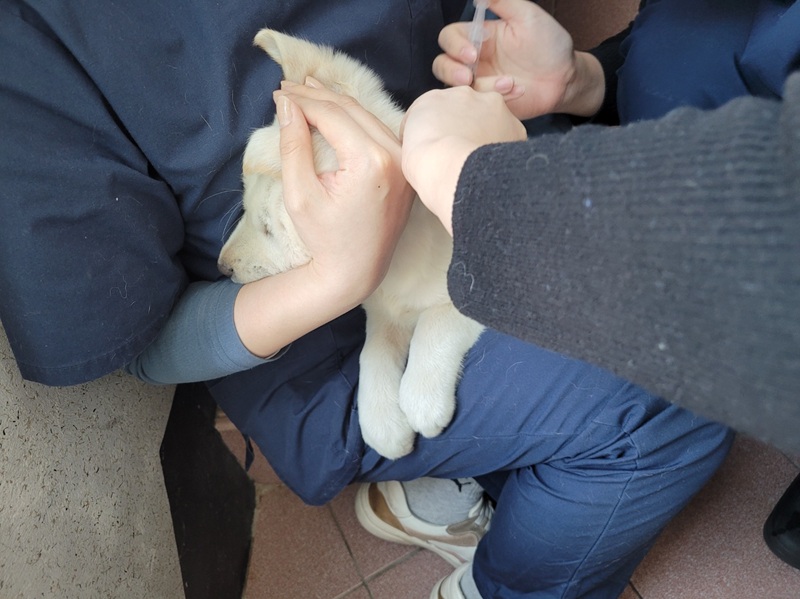 a77adcb6bc7c2868672a1096e19d9535_1773575604_9649.jpg a77adcb6bc7c2868672a1096e19d9535_1773575604_9649.jpg