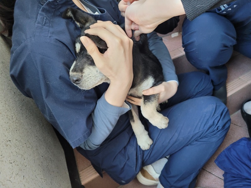 a77adcb6bc7c2868672a1096e19d9535_1773575605_0856.jpg a77adcb6bc7c2868672a1096e19d9535_1773575605_0856.jpg