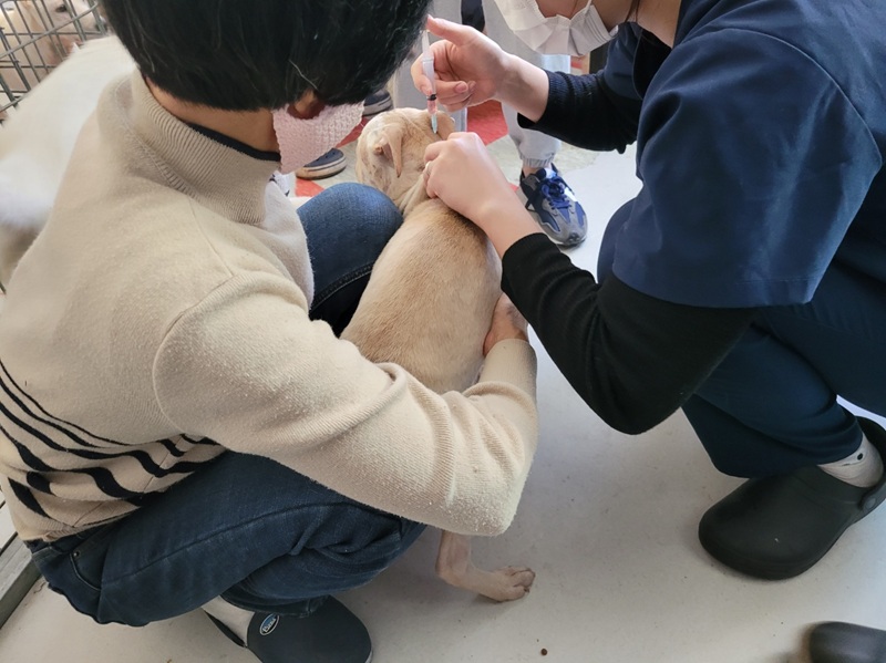 a77adcb6bc7c2868672a1096e19d9535_1773575605_1455.jpg a77adcb6bc7c2868672a1096e19d9535_1773575605_1455.jpg