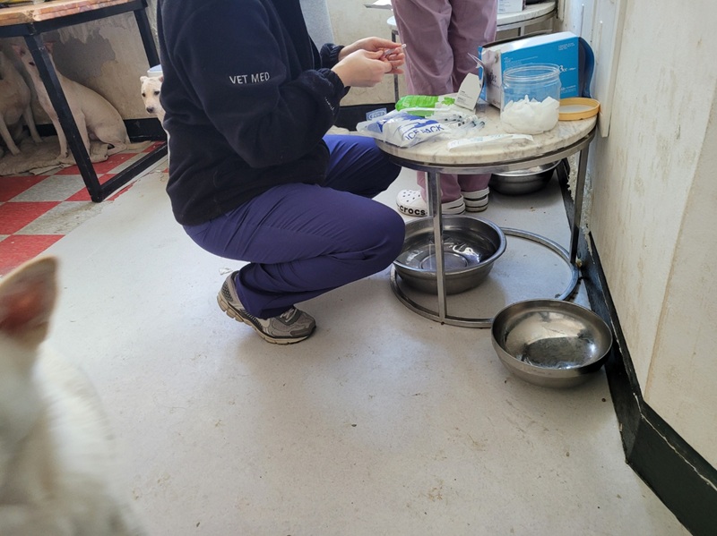 a77adcb6bc7c2868672a1096e19d9535_1773575605_2043.jpg a77adcb6bc7c2868672a1096e19d9535_1773575605_2043.jpg