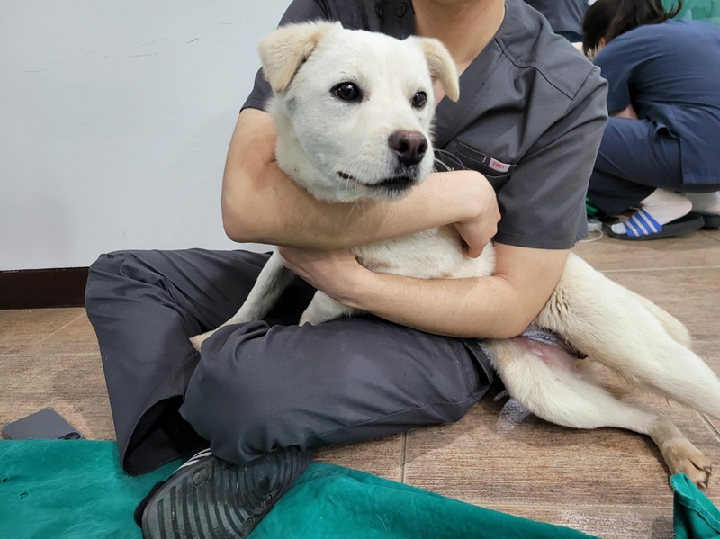 a77adcb6bc7c2868672a1096e19d9535_1773576095_3526.jpg a77adcb6bc7c2868672a1096e19d9535_1773576095_3526.jpg