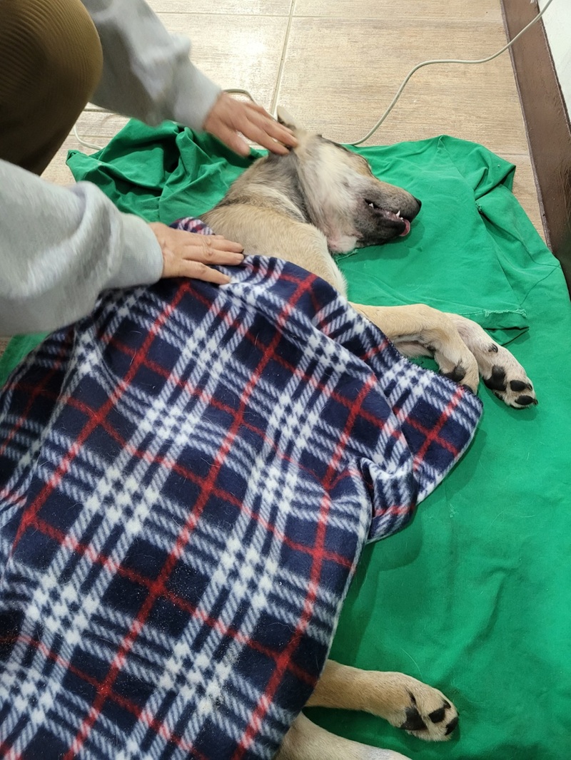 a77adcb6bc7c2868672a1096e19d9535_1773576095_425.jpg a77adcb6bc7c2868672a1096e19d9535_1773576095_425.jpg