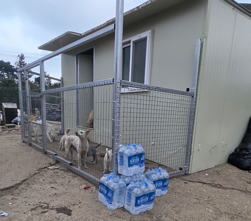 a77adcb6bc7c2868672a1096e19d9535_1773576095_4974.jpg a77adcb6bc7c2868672a1096e19d9535_1773576095_4974.jpg