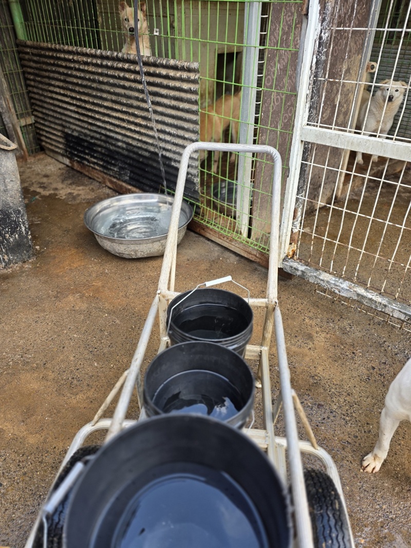 a77adcb6bc7c2868672a1096e19d9535_1773576095_5599.jpg a77adcb6bc7c2868672a1096e19d9535_1773576095_5599.jpg