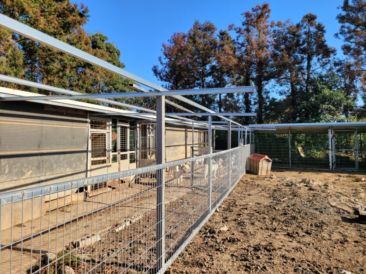 782ecfcdcf58550559b2b35efe00d59b_1775955158_704.jpg 782ecfcdcf58550559b2b35efe00d59b_1775955158_704.jpg