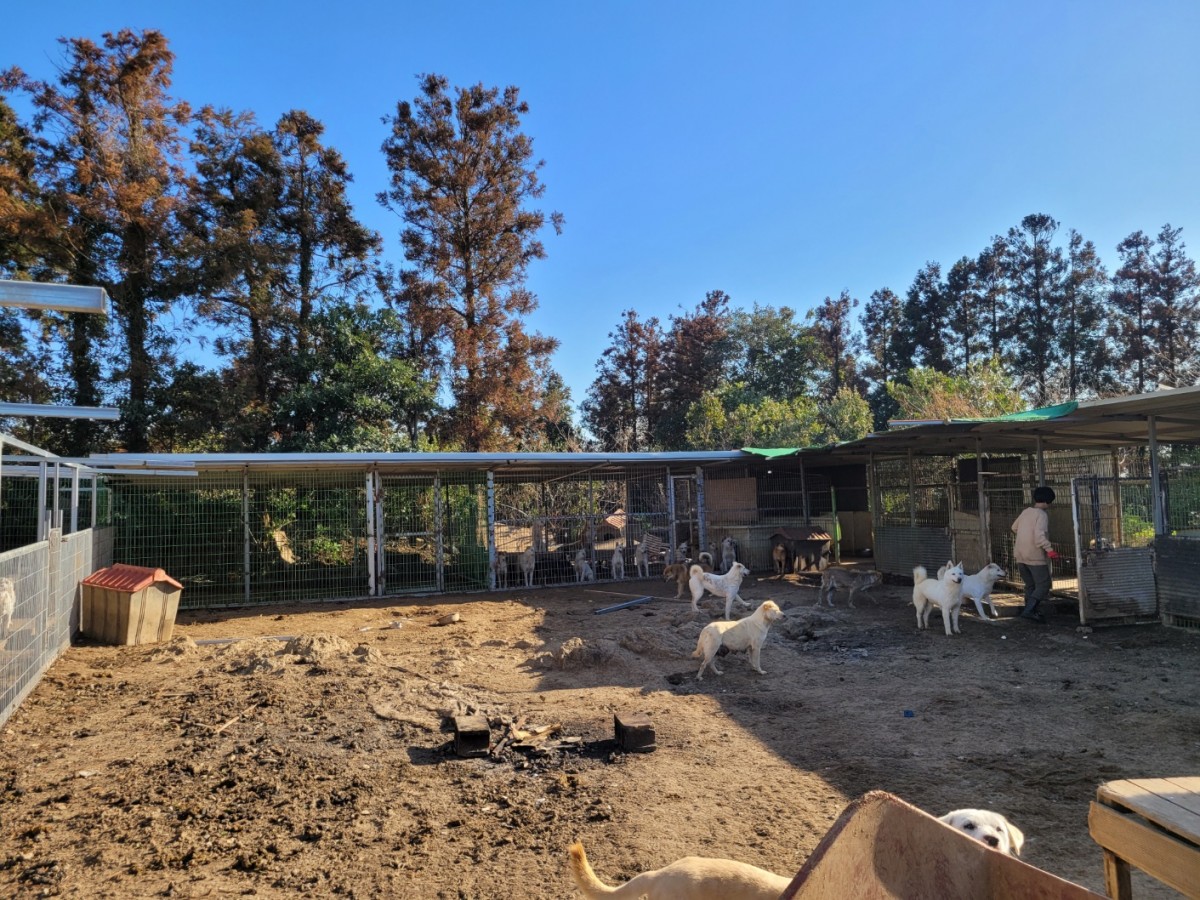 782ecfcdcf58550559b2b35efe00d59b_1775955158_8154.jpg 782ecfcdcf58550559b2b35efe00d59b_1775955158_8154.jpg