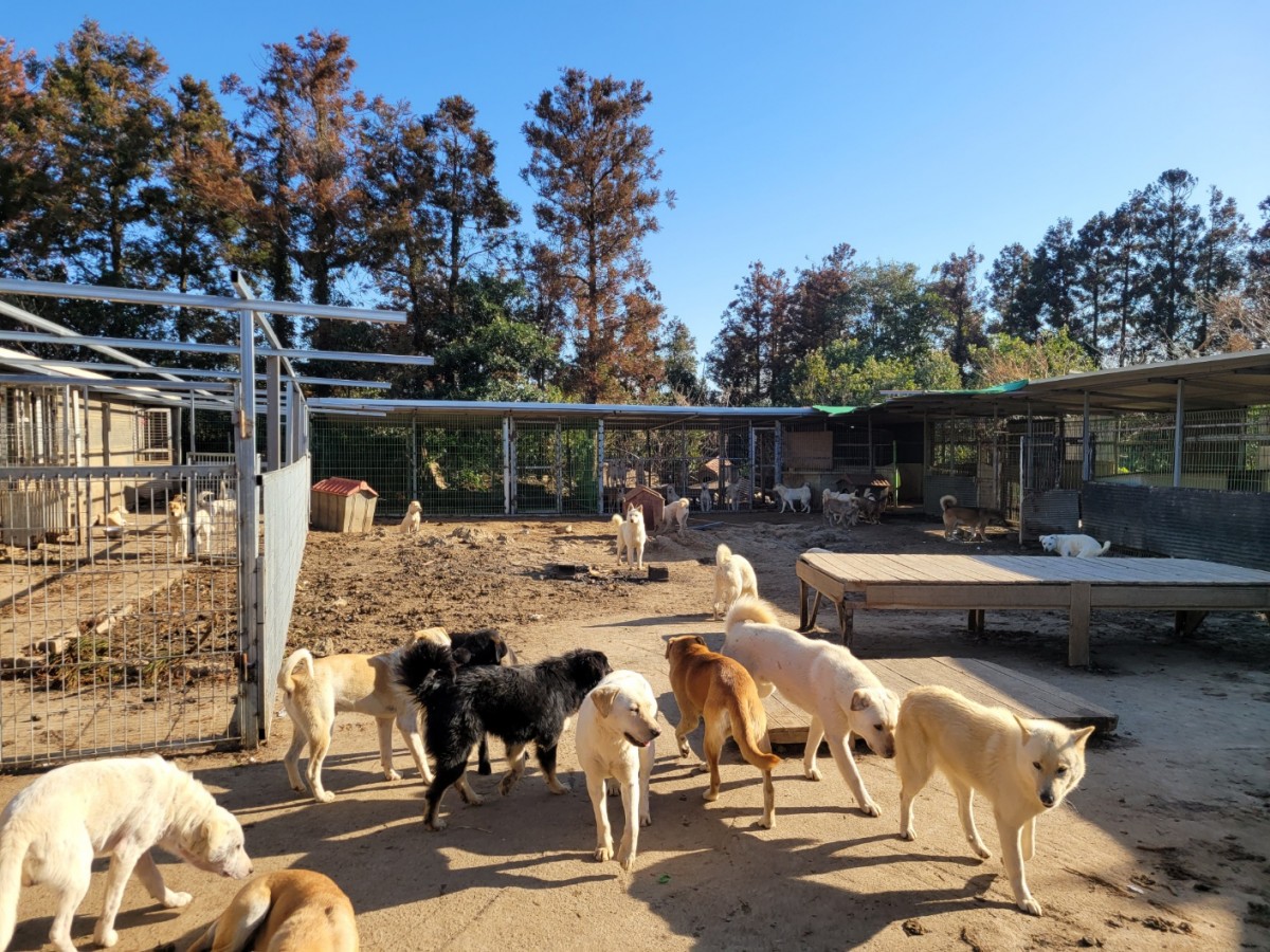 782ecfcdcf58550559b2b35efe00d59b_1775955158_9274.jpg 782ecfcdcf58550559b2b35efe00d59b_1775955158_9274.jpg