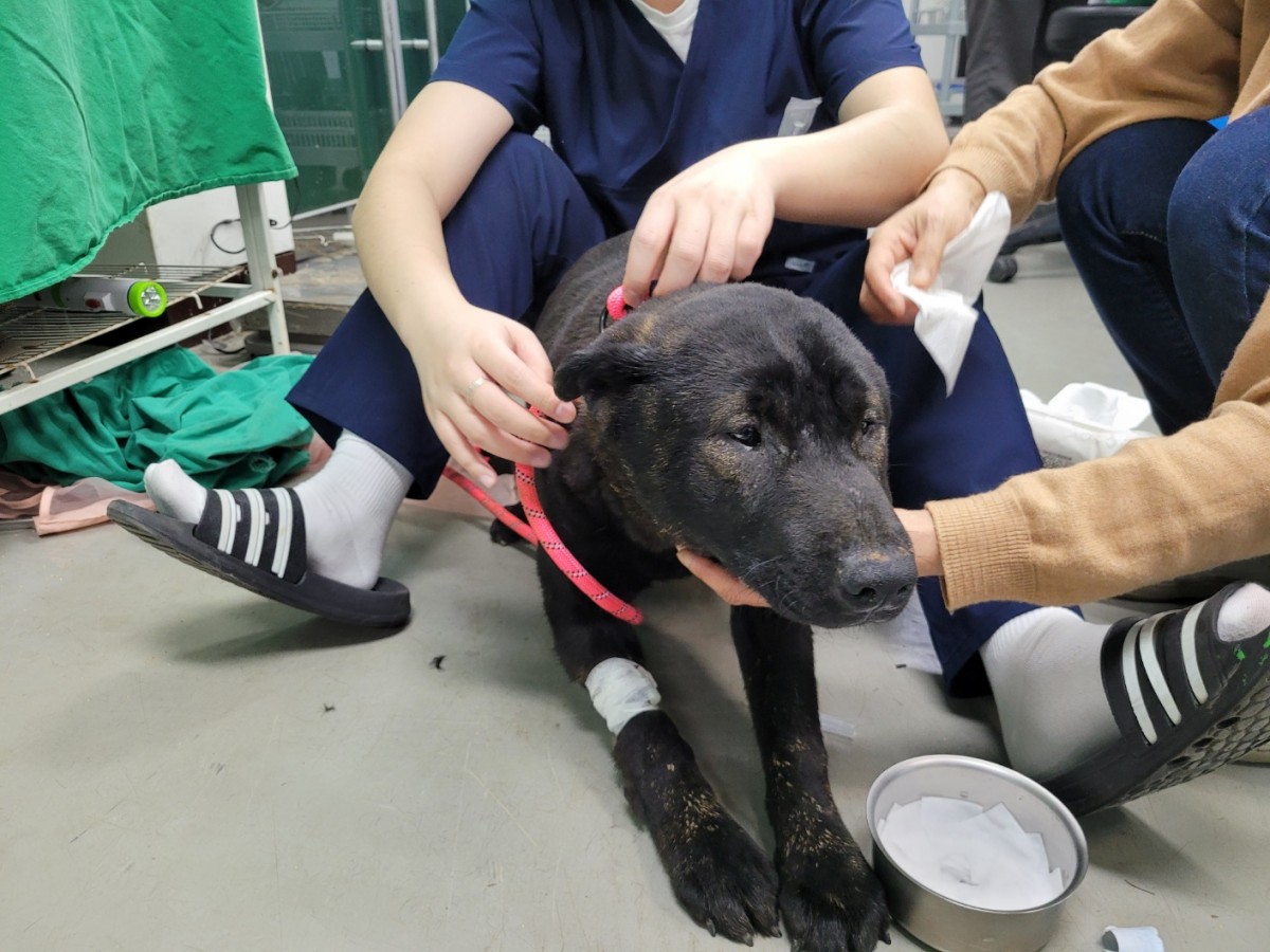 782ecfcdcf58550559b2b35efe00d59b_1775955198_0161.jpg 782ecfcdcf58550559b2b35efe00d59b_1775955198_0161.jpg