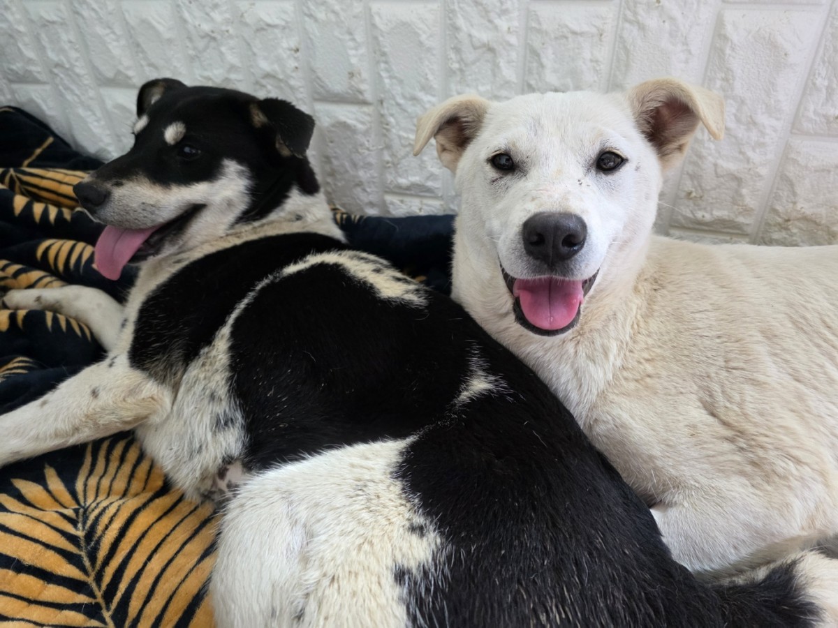 782ecfcdcf58550559b2b35efe00d59b_1775955198_1028.jpg 782ecfcdcf58550559b2b35efe00d59b_1775955198_1028.jpg