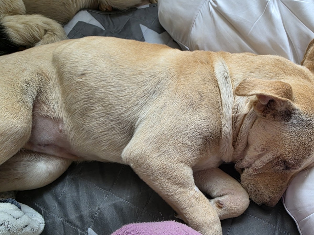 782ecfcdcf58550559b2b35efe00d59b_1775955198_188.jpg 782ecfcdcf58550559b2b35efe00d59b_1775955198_188.jpg