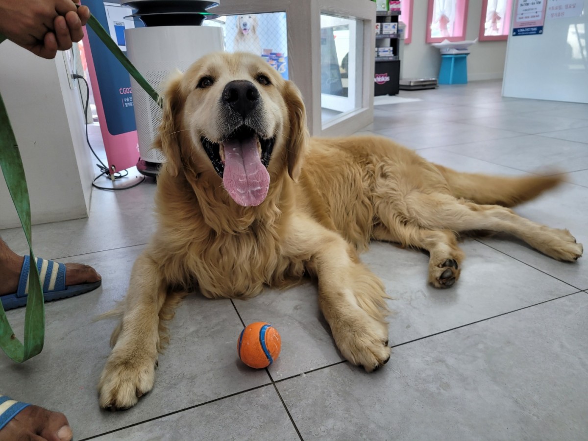 1120d29db363c1f28ad8439c73f759e5_1786620384_3318.jpg