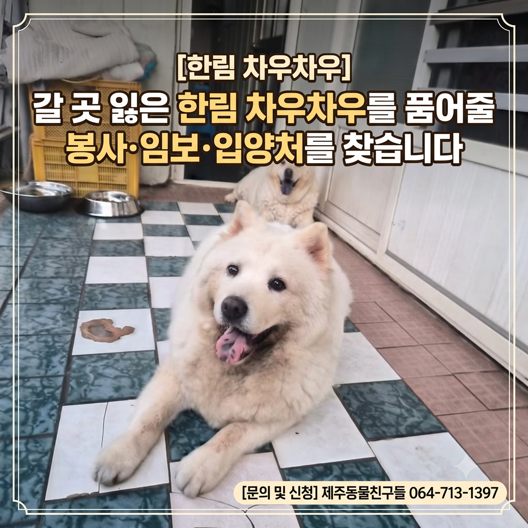 aba8a368e3b39047a30ca0a3bdc36739_1788352645_5695.png aba8a368e3b39047a30ca0a3bdc36739_1788352645_5695.png