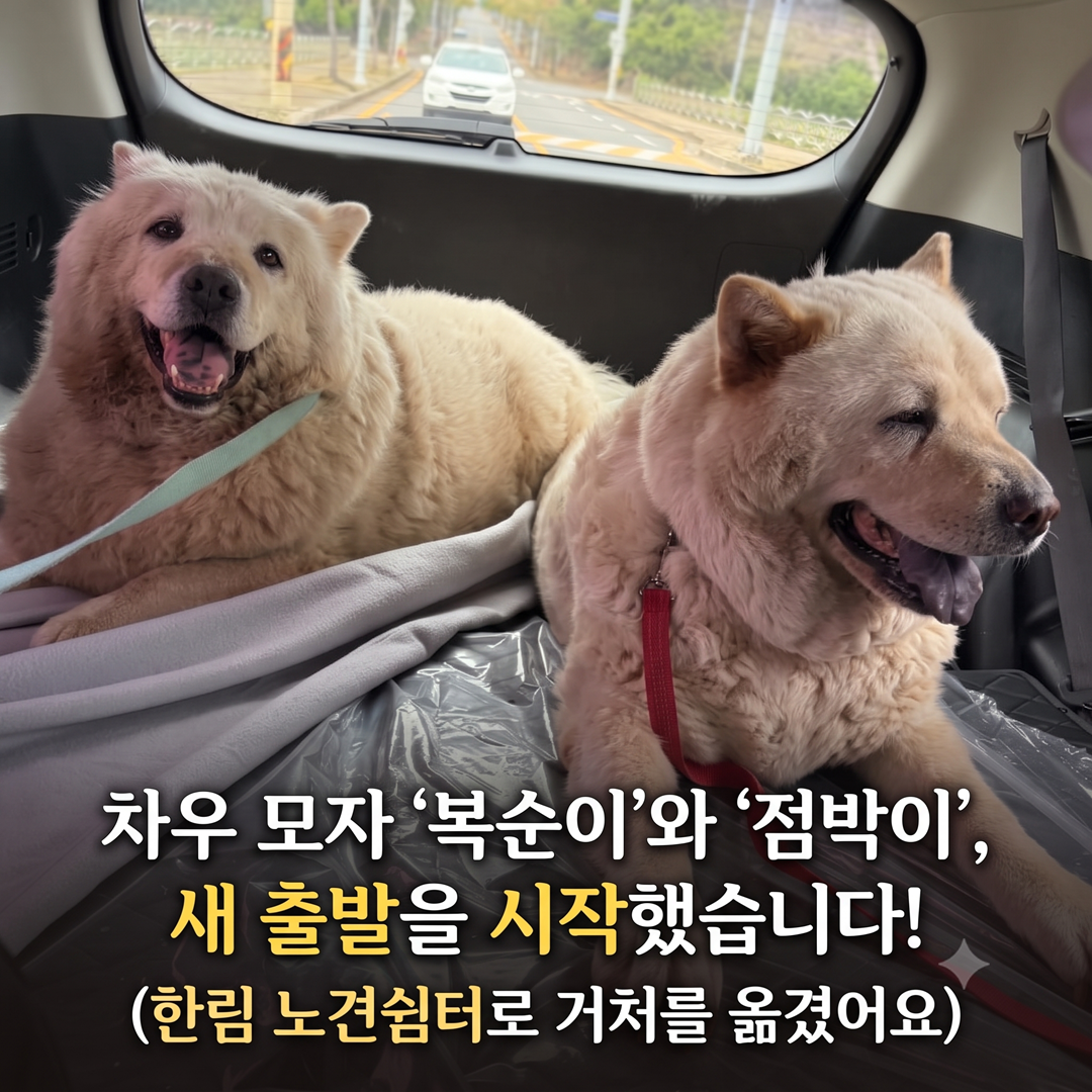 dcfd32e838c9f13756f0303247f83094_1790595894_7527.png dcfd32e838c9f13756f0303247f83094_1790595894_7527.png